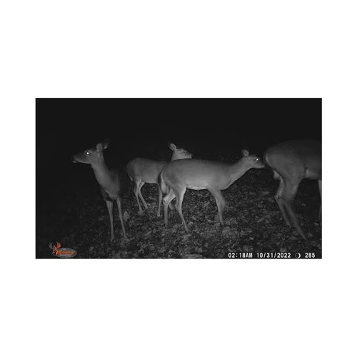 Wildgame Innovations Terra Extreme 14MP Camera with SD Card and High-Speed Card Reader - Image 7