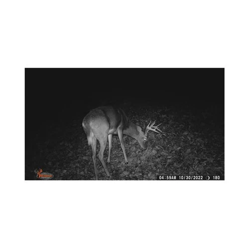 Wildgame Innovations Terra Extreme 14MP Camera with SD Card and High-Speed Card Reader - Image 8