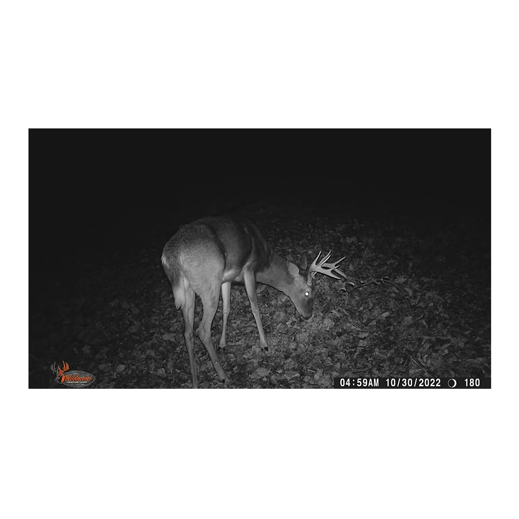 Wildgame Innovations Terra Extreme 14MP Camera with SD and Card Reader (4-Pack) - Image 8