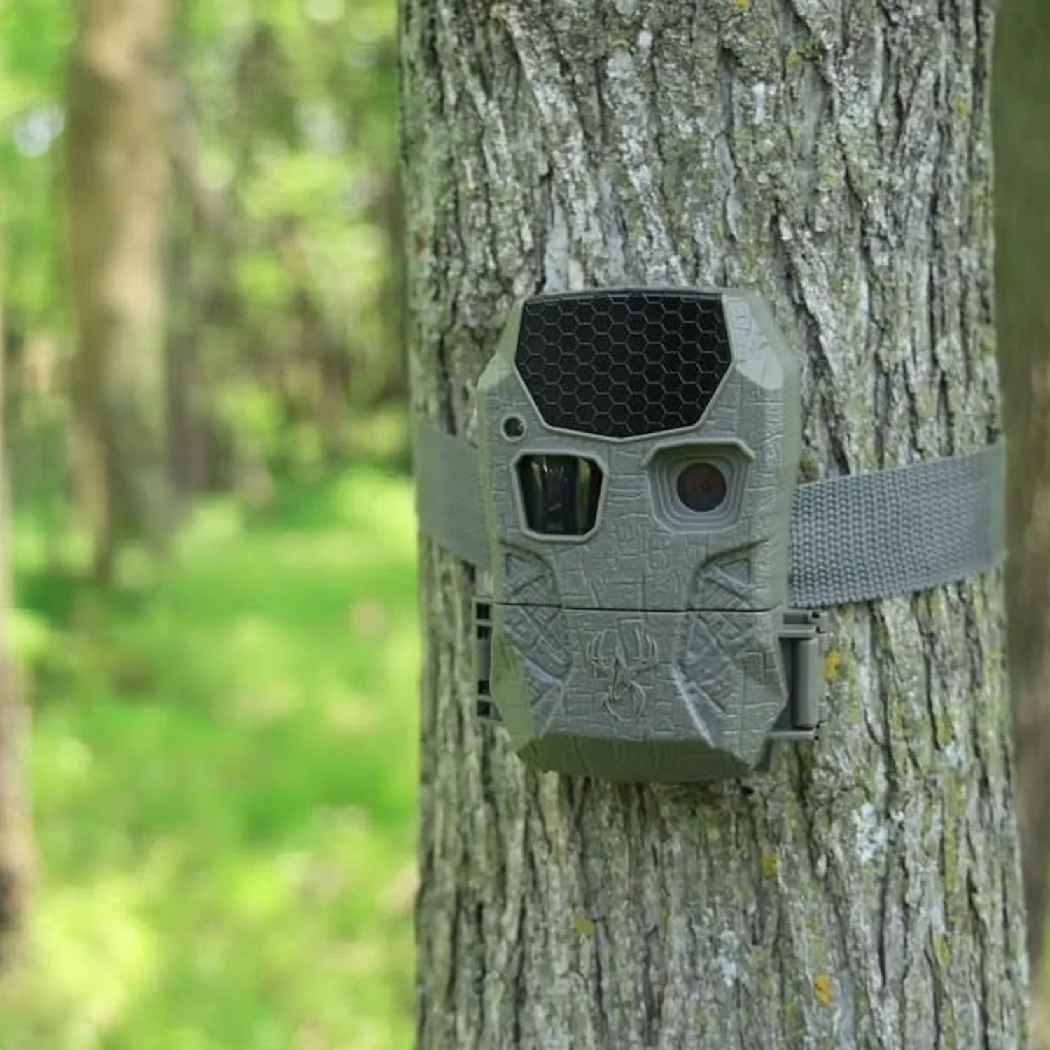 Wildgame Innovations Kicker 2.0 Lightsout Trail Camera with 18MP Resolution (6-Pack) Bundle - Image 7