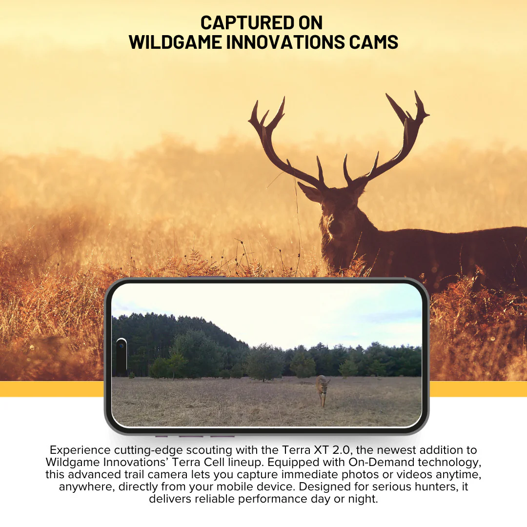 Wildgame Innovations Terra XT 2.0 24MP Cellular Camera (Gray, 6-Pack) with 6 x Memory Card Bundle - Image 3