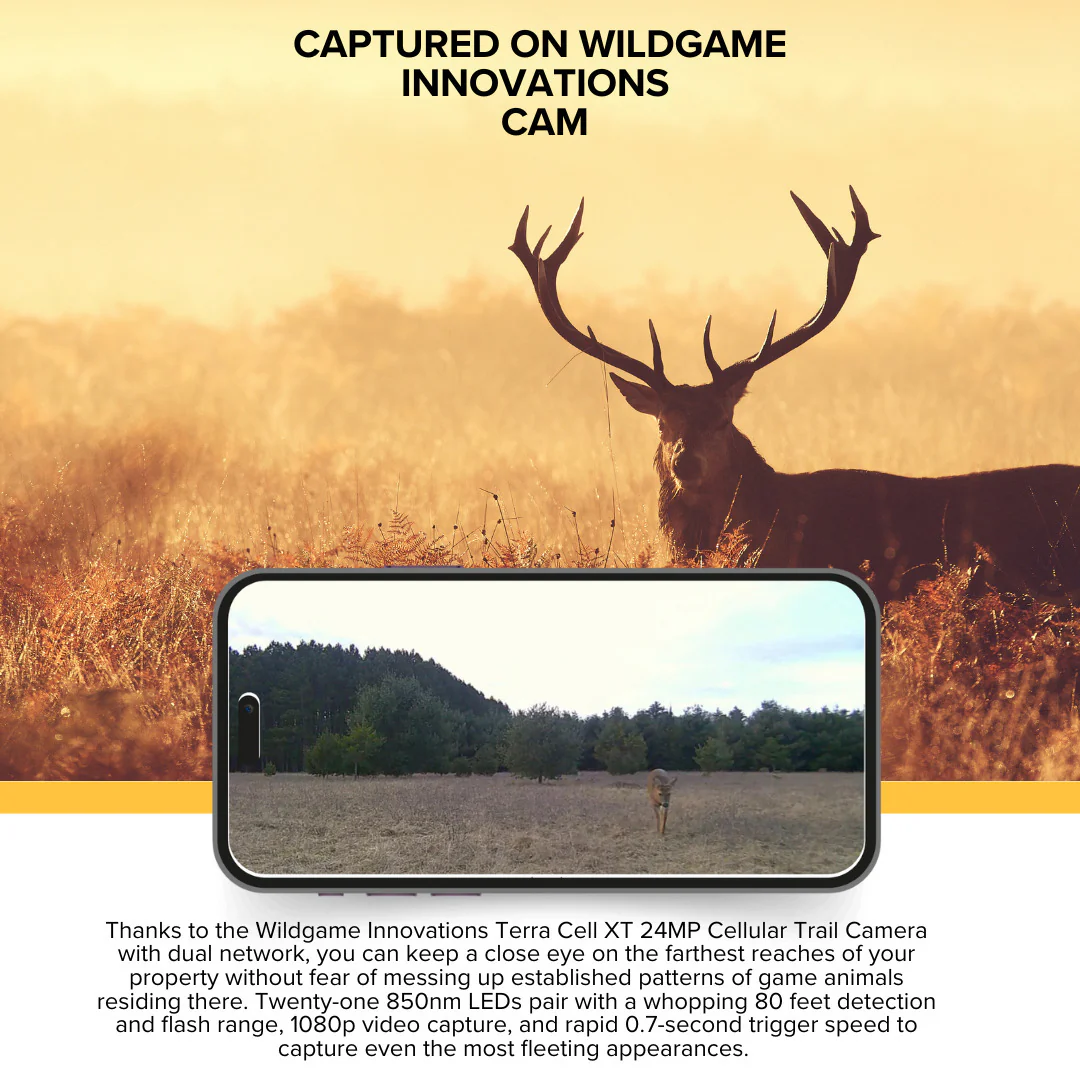 Wildgame Innovations Terra Cell XT 24MP Cellular Trail Camera (Dual Network, 4-Pack) Bundle - Image 3