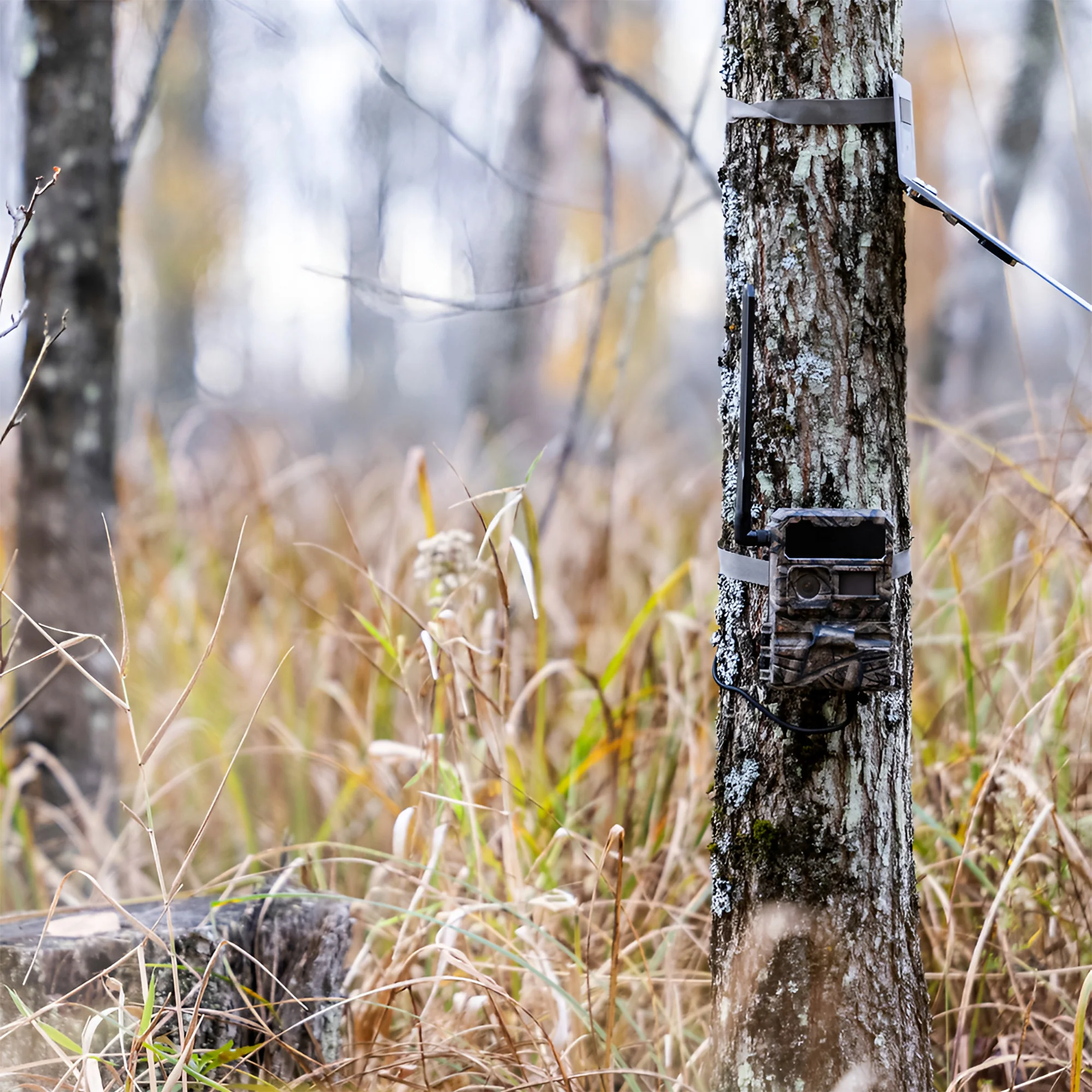 Yellowstone Y2 Black Wide Lens Trail Camera (6-Pack) with Security Box and Accs - Image 8
