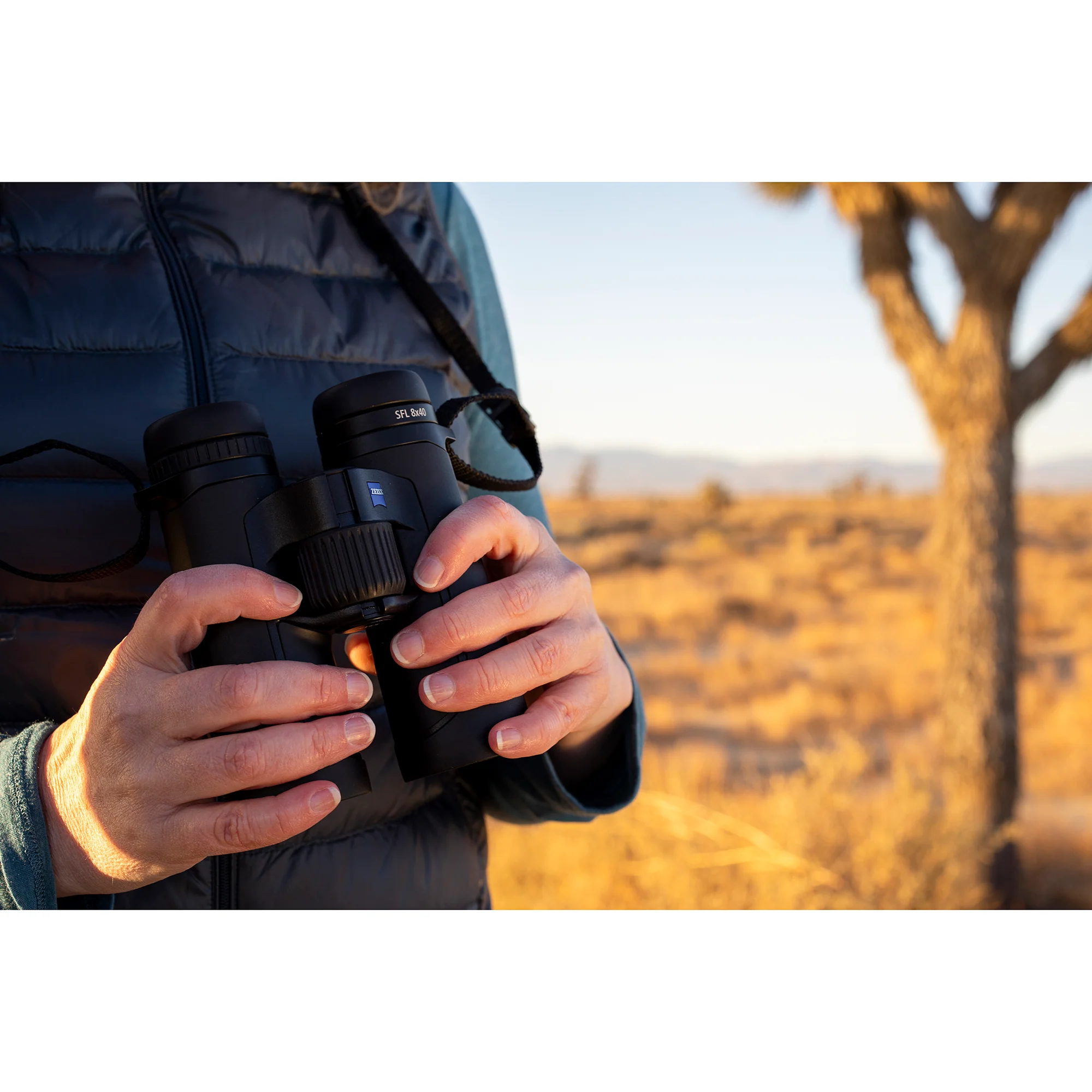 Zeiss Optics SFL 8x40 Compact and Waterproof Binoculars for Adults (Used) - Image 10