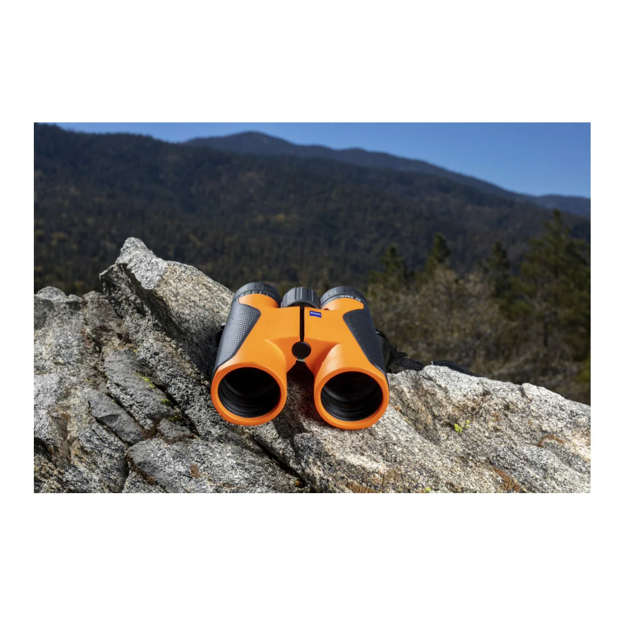 Zeiss 10x42 Terra ED Binoculars (Black/Orange) - Image 3